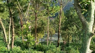 Tanah Luas 4900 m2 Kawasan Strategis Lembang, Dijual Terjangkau