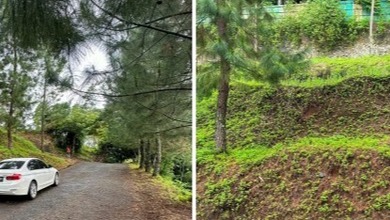 Promo Tanah Strategis di Lembang, Bandung, Harga 800 Juta