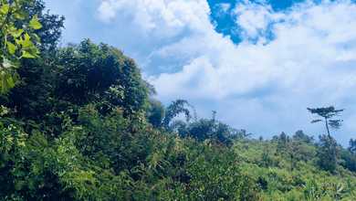 For Sale Tanah Premium di Ciwidey, Bandung, LT 51610m²