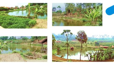 For Sale Tanah Premium di Ciwidey, Bandung, LT 11200m²