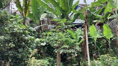 Kavling Prestisius Dijual di Lembang, Bandung, Harga 183 Miliar