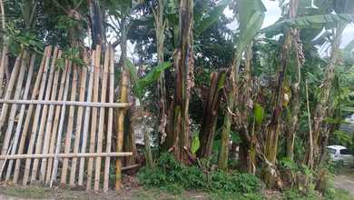 Jual Cepat Tanah Strategis di Ciumbuleuit, Bandung, LT 192m²