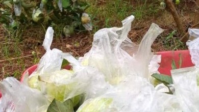 Tanah Ideal untuk Hunian di Cianjur Kota, Cianjur, Luas 10810m²