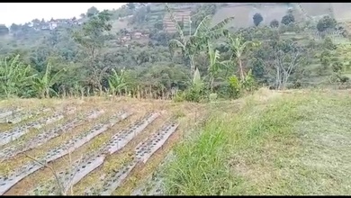 For Sale Tanah Premium di Lembang, Bandung Barat, LT 4700m²