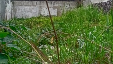 Dijual Tanah Premium di Setra Murni, Bandung, LT 289m²