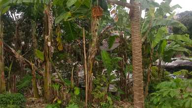 Dijual Tanah Strategis di Ciumbuleuit, Bandung, LT 192m²