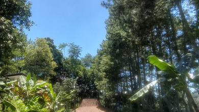 For Sale Tanah Premium di Lembang, Bandung, LT 30000m²